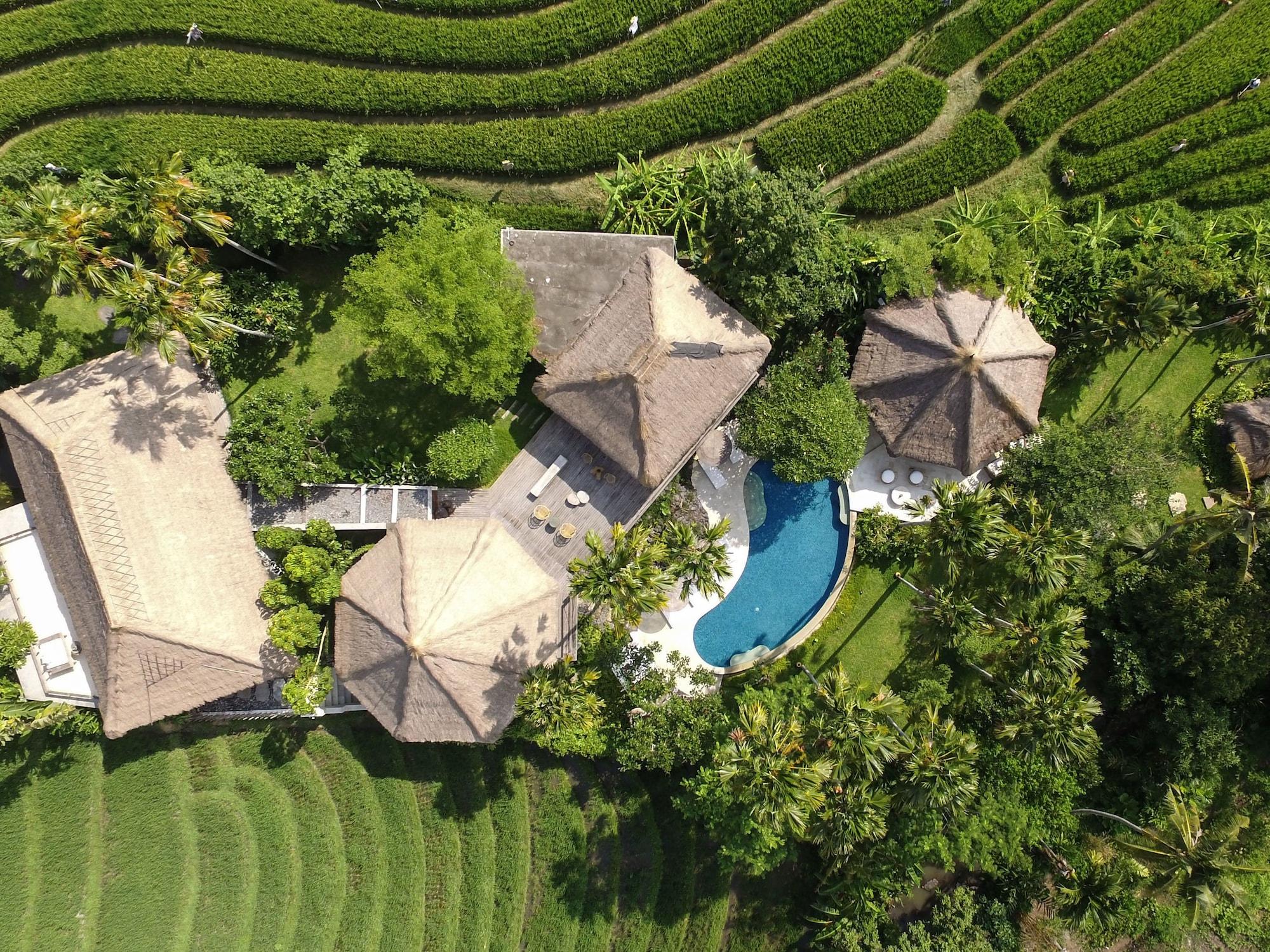 Planta Boutique Resort Canggu  Exterior photo